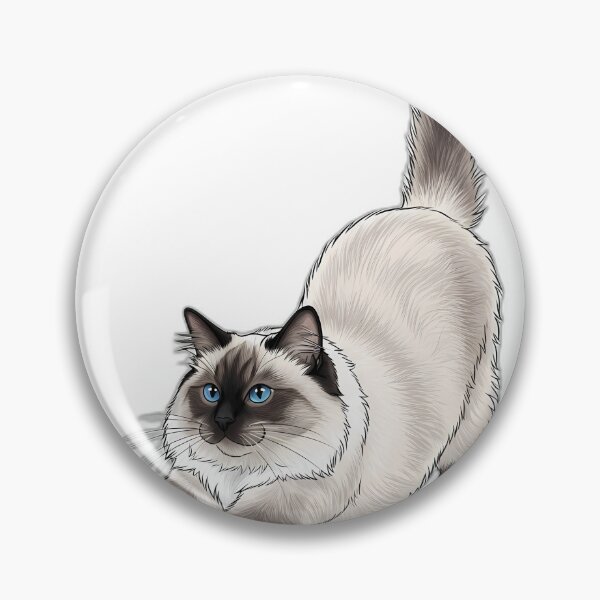 Item preview, Ragdoll Cat Stretching Gently Long Fluffy designed and sold by pumsquare.