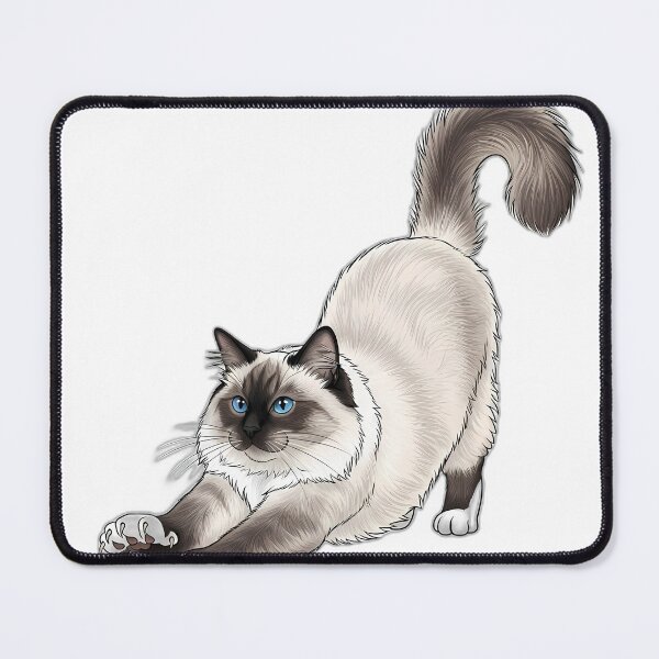 Item preview, Ragdoll Cat Stretching Gently Long Fluffy designed and sold by pumsquare.