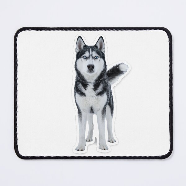 Item preview, Majestic Blue-Eyed Siberian Husky Portrait designed and sold by irfanshikh.