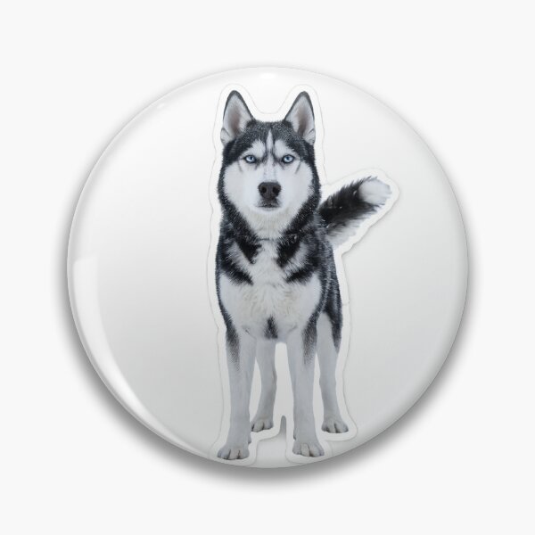 Item preview, Majestic Blue-Eyed Siberian Husky Portrait designed and sold by irfanshikh.