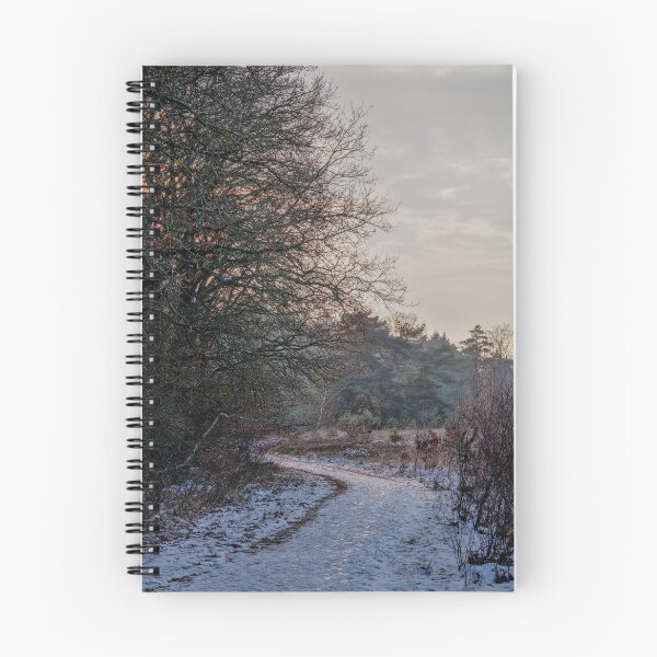 Item preview, Golden Hour Forest Trail designed and sold by ShotsbyDesiree.