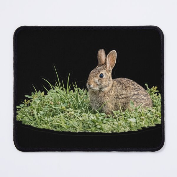 Item preview, Springtime Wild Cottontail Rabbit designed and sold by irfanshikh.