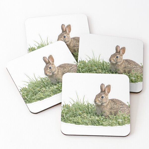 Item preview, Springtime Wild Cottontail Rabbit designed and sold by irfanshikh.