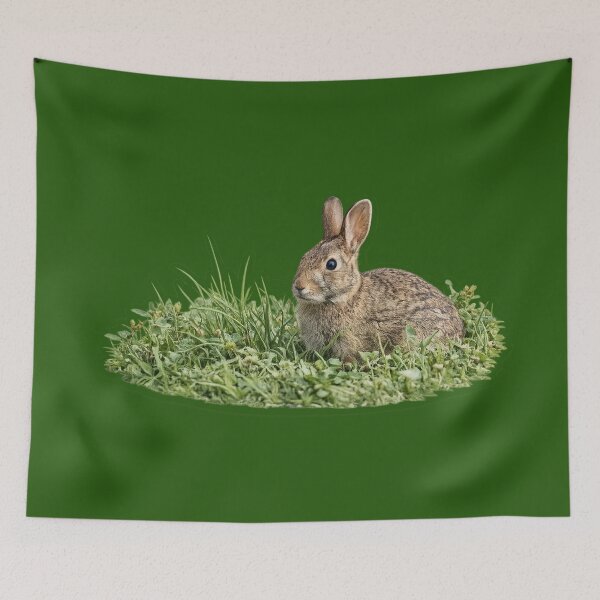 Item preview, Springtime Wild Cottontail Rabbit designed and sold by irfanshikh.