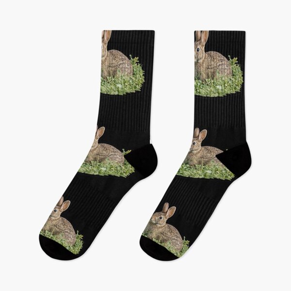 Item preview, Springtime Wild Cottontail Rabbit designed and sold by irfanshikh.