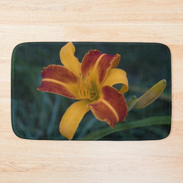 Item preview, Vibrant Two-tone Daylily in Bloom designed and sold by Georgia Mizuleva.