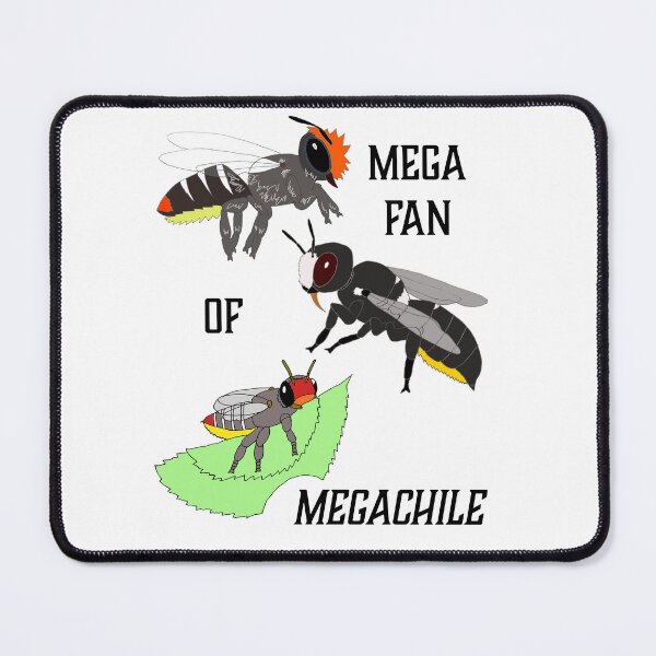 Item preview, Mega-fan of Megachile designed and sold by BeeBabette.