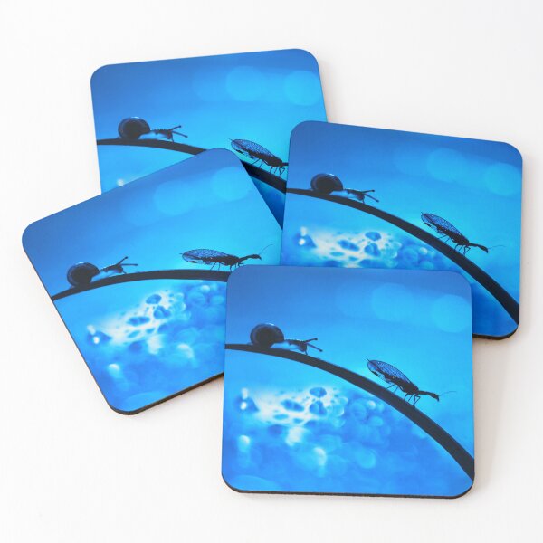 Item preview, Blue Night Encounter: Snail and Lacewing designed and sold by SoulArchitect.