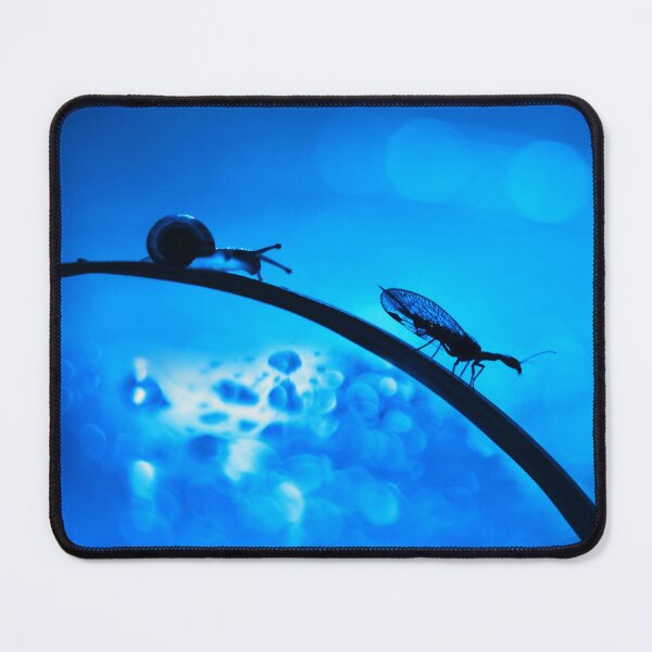 Item preview, Blue Night Encounter: Snail and Lacewing designed and sold by SoulArchitect.