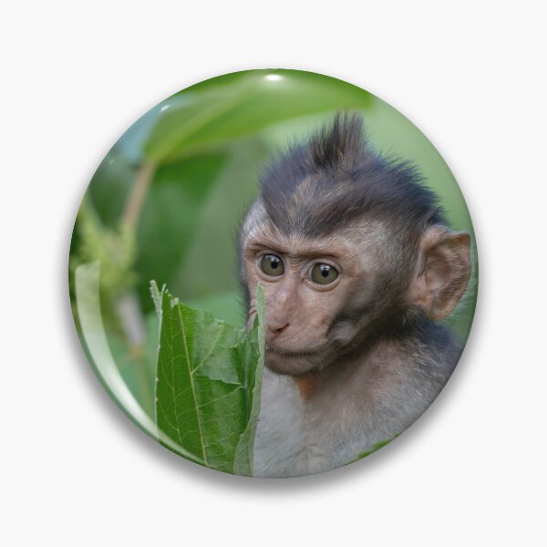 Item preview, Side Eye Activated Monkey Meme Funny Judging Reaction Cute Animal Meme designed and sold by WildFrameNature.
