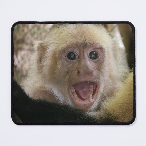 Item preview, Bro Monkey Meme Funny Reaction Meme Shocked Monkey Viral Meme designed and sold by WildFrameNature.