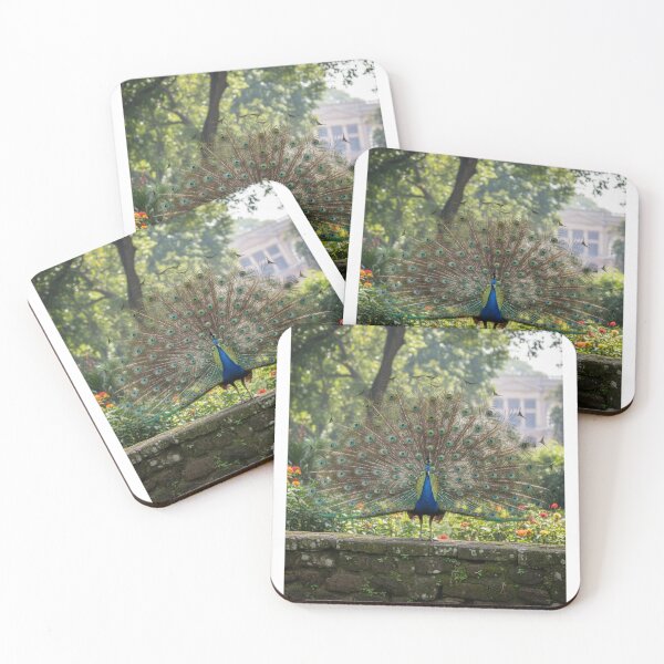 Item preview, Majestic Peacock in Bloom designed and sold by SouravDesigns.