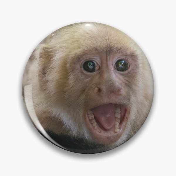 Item preview, Aint No Way Monkey Meme Funny Reaction Meme Shocked Viral Meme designed and sold by WildFrameNature.