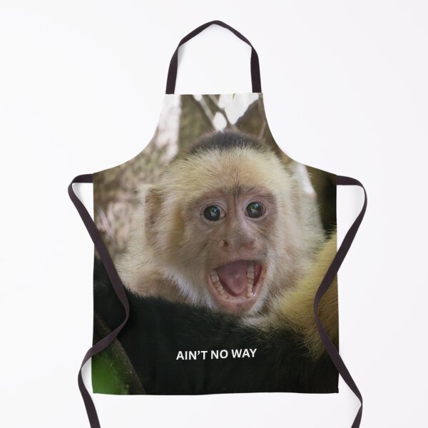 Item preview, Aint No Way Monkey Meme Funny Reaction Meme Shocked Viral Meme designed and sold by WildFrameNature.
