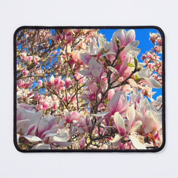 Item preview, Magnificent Magnolia designed and sold by Violaman.