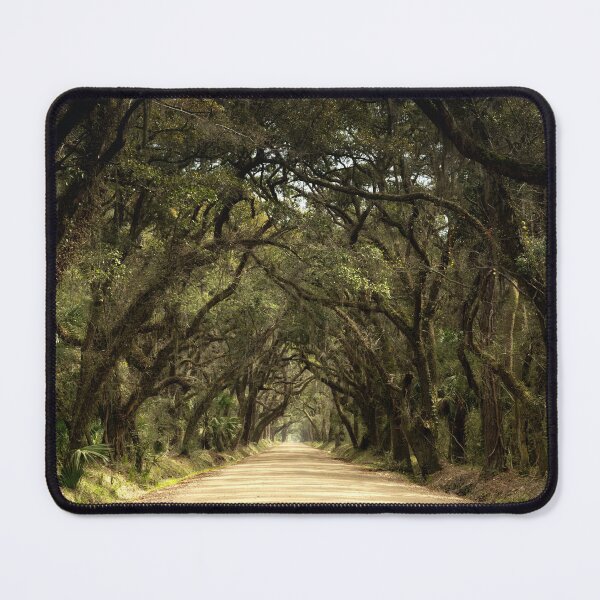 Item preview, Botany Bay designed and sold by DiFigianoPhoto.
