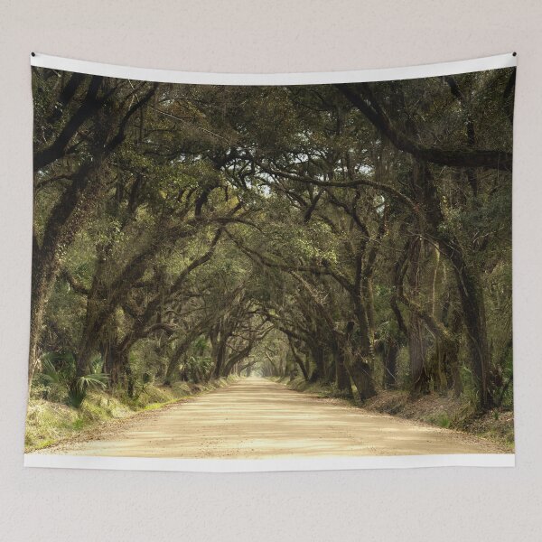 Item preview, Botany Bay designed and sold by DiFigianoPhoto.