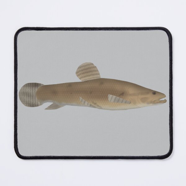 Item preview, Trahira designed and sold by fishfolkart.