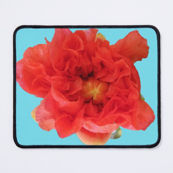 Item preview, Pomegranate Red Flower Botanical Photo designed and sold by SpiritualBeing.