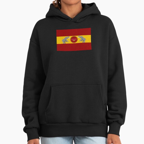 Thalapathy Vijay TVK Flag Tamil Kollywood Premium Oversized Hoodie