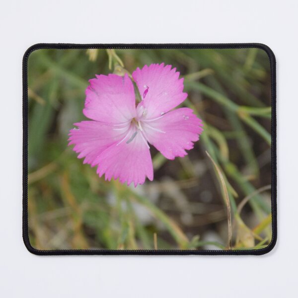 Item preview, Pinky designed and sold by klavdija998.