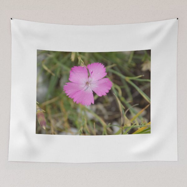 Item preview, Pinky designed and sold by klavdija998.