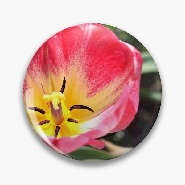 Item preview, Spring Tulip designed and sold by BostonArcImage.