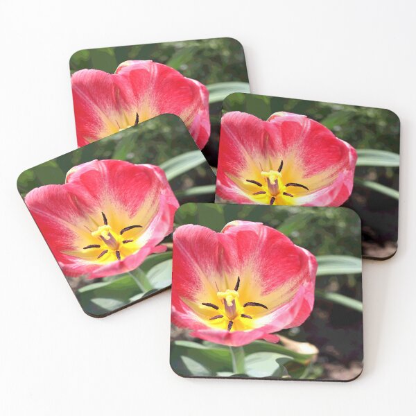 Item preview, Spring Tulip designed and sold by BostonArcImage.