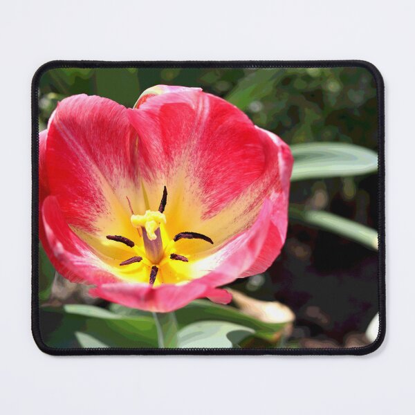 Item preview, Spring Tulip designed and sold by BostonArcImage.