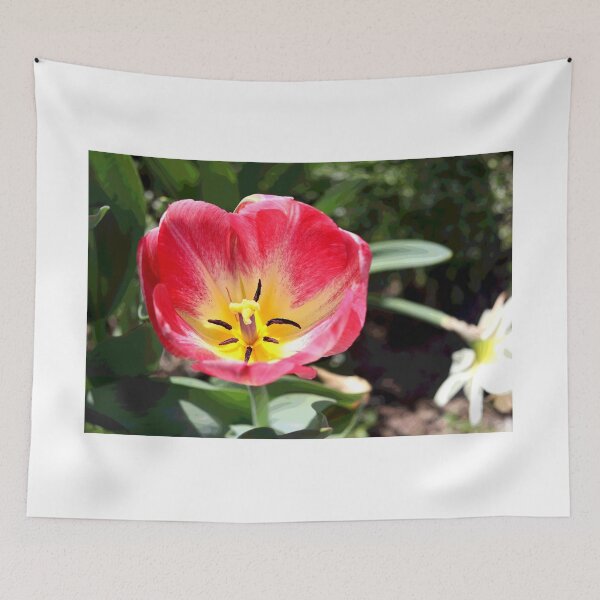 Item preview, Spring Tulip designed and sold by BostonArcImage.
