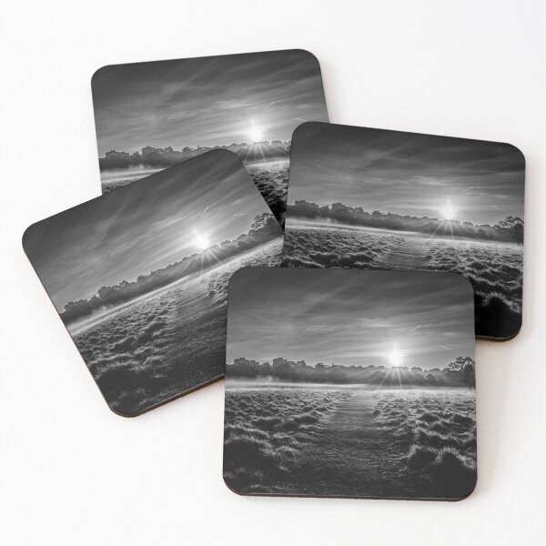 Item preview, Sunrise in London's Richmond Park in Black and White. designed and sold by Radiocafe.