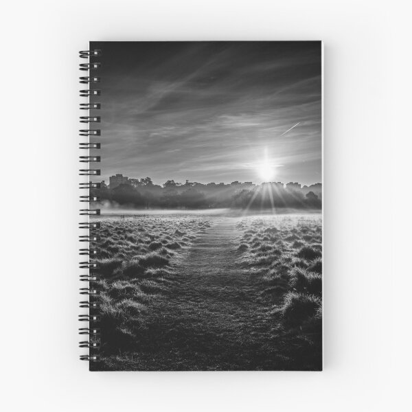 Item preview, Sunrise in London's Richmond Park in Black and White. designed and sold by Radiocafe.