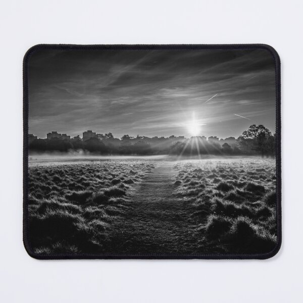 Item preview, Sunrise in London's Richmond Park in Black and White. designed and sold by Radiocafe.
