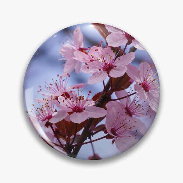 Item preview, Reimagined Cherry Blossom – Soft Manipulated Floral Macro designed and sold by Winegan Designs® Photographic Art Collection.