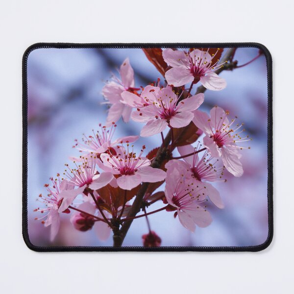 Item preview, Reimagined Cherry Blossom – Soft Manipulated Floral Macro designed and sold by Winegan Designs® Photographic Art Collection.