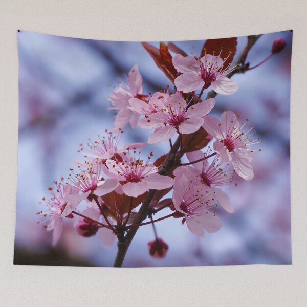 Item preview, Reimagined Cherry Blossom – Soft Manipulated Floral Macro designed and sold by Winegan Designs® Photographic Art Collection.