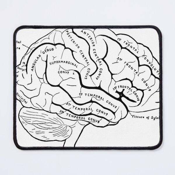 Item preview, Brain designed and sold by Anastasiakd.
