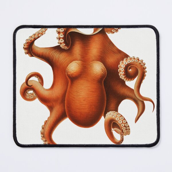 Item preview, Octopus Art designed and sold by Diana Vastag.