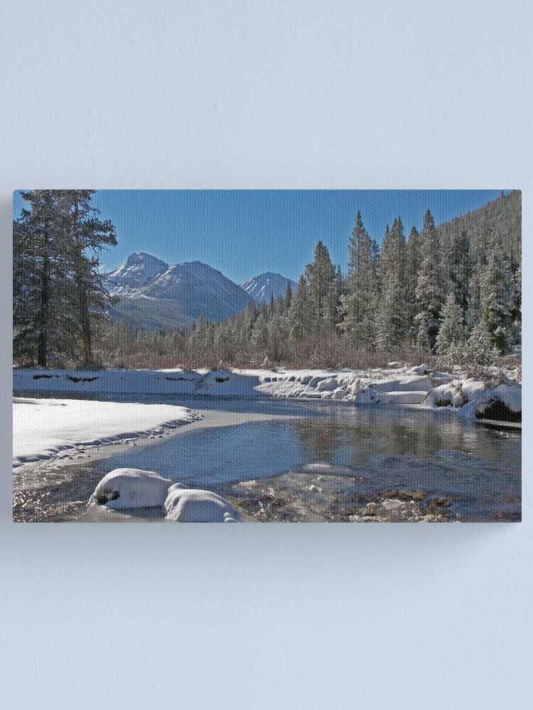 Alternate view of Bright Side of Winter Canvas Print