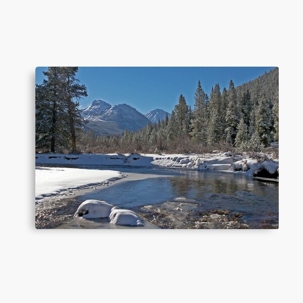 Bright Side of Winter Canvas Print