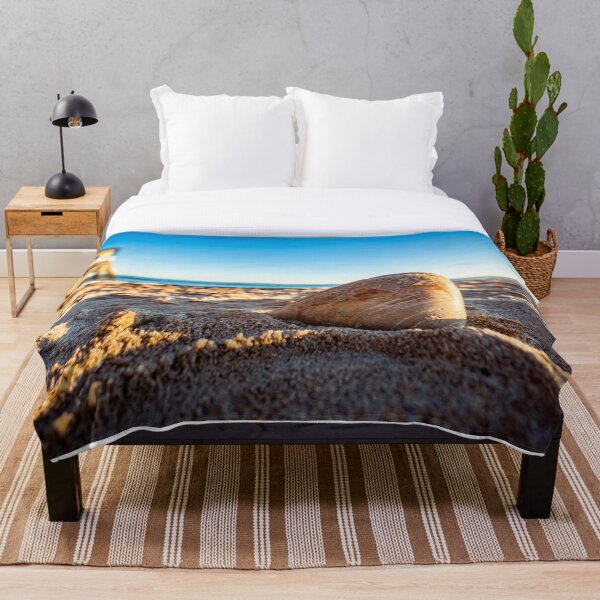 Item preview, Old Orchard Beach, Maine — Roca costera y muelle al amanecer designed and sold by MDCCo.