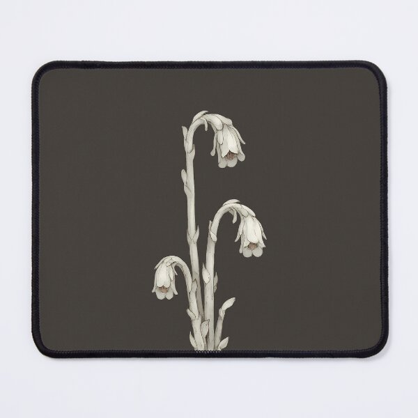 Item preview, Ghost Pipe – Minimalist Botanical Illustration designed and sold by Ombrya.
