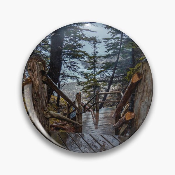 Item preview, Acadia National Park Hidden Stairway — Moody Forest Trail Maine designed and sold by MDCCo.