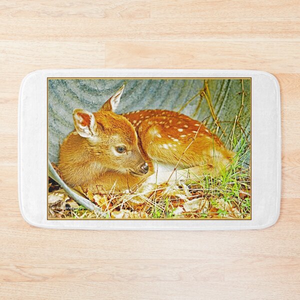 Item preview, Newborn Fawn Takes Shelter in an Old, Discarded Washtub designed and sold by AMacGPhilly.