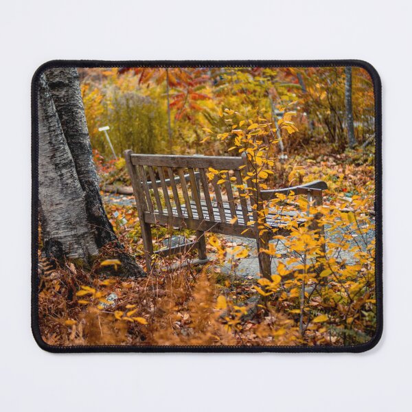Item preview, Autumn Bench Acadia National Park — Fall Foliage New England Photography designed and sold by MDCCo.