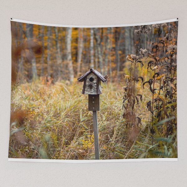 Item preview, Autumn Birdhouse Acadia National Park — Fall Meadow Nature Photography Maine designed and sold by MDCCo.