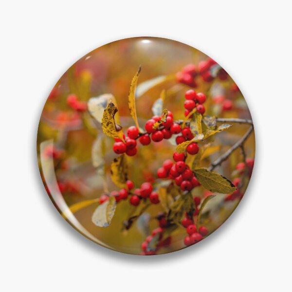Artikelvorschau, Rote Winterbeeren im Acadia-Nationalpark – Herbstliche Naturmakrofotografie in Maine entworfen und verkauft von MDCCo.
