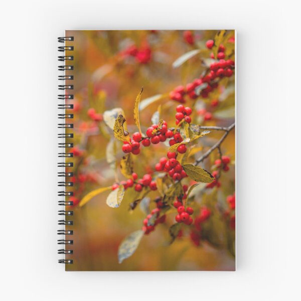 Item preview, Red Winter Berries Acadia National Park — Autumn Nature Macro Photography Maine designed and sold by MDCCo.