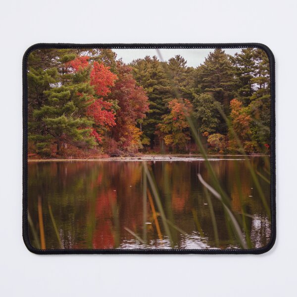 Item preview, Kingsbury Pond Massachusetts Fall Reflection — New England Autumn Foliage Photography designed and sold by MDCCo.
