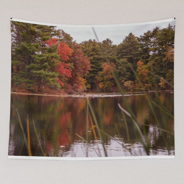 Item preview, Kingsbury Pond Massachusetts Fall Reflection — New England Autumn Foliage Photography designed and sold by MDCCo.